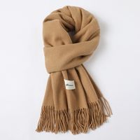 Women's Simple Style Solid Color Imitation Cashmere Scarf sku image 11