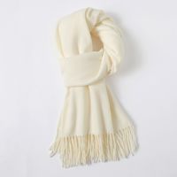 Women's Simple Style Solid Color Imitation Cashmere Scarf sku image 15