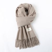 Women's Simple Style Solid Color Imitation Cashmere Scarf sku image 23