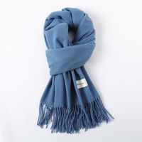 Women's Simple Style Solid Color Imitation Cashmere Scarf sku image 28