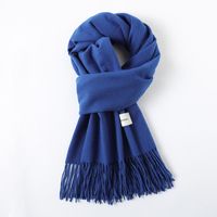 Women's Simple Style Solid Color Imitation Cashmere Scarf sku image 29