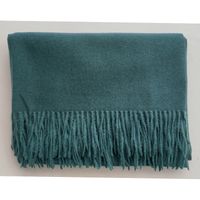 Women's Simple Style Solid Color Imitation Cashmere Scarf sku image 39
