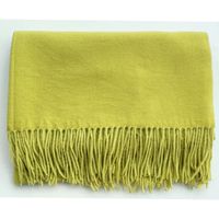 Women's Simple Style Solid Color Imitation Cashmere Scarf sku image 40