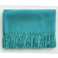 Women's Simple Style Solid Color Imitation Cashmere Scarf sku image 41