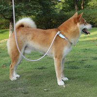 Simple Style Nylon Solid Color Leash main image 4