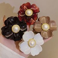 Casual Princess Simple Style Flower Plastic Hair Claws main image 4