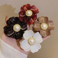 Casual Princess Simple Style Flower Plastic Hair Claws main image 1