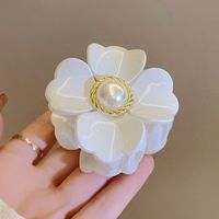 Casual Princess Simple Style Flower Plastic Hair Claws main image 3