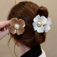 Casual Princess Simple Style Flower Plastic Hair Claws main image 2