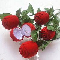 Elegant Romantic Rose Plastic Jewelry Boxes main image 1