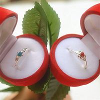 Elegant Romantic Rose Plastic Jewelry Boxes main image 2