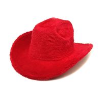 Unisex Cowboy Style Simple Style Solid Color Wide Eaves Fedora Hat sku image 5
