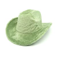 Unisex Cowboy Style Simple Style Solid Color Wide Eaves Fedora Hat sku image 4