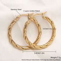 1 Pair Exaggerated Simple Style Solid Color Plating 304 Stainless Steel 18K Gold Plated Gold Plated Earrings sku image 4