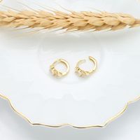 1 Pair Simple Style Grain Inlay Sterling Silver Rhinestones Earrings main image 4