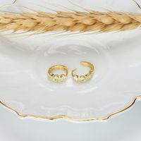 1 Pair Sweet Heart Shape Inlay Sterling Silver Zircon Earrings main image 7