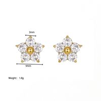 1 Paire Style De Fée Élégant Sucré Fleur Placage Incruster Acier Inoxydable Zircon Boucles D'oreilles main image 6