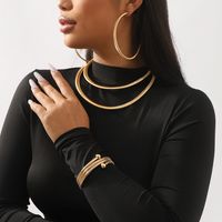 Moderner Stil Einfacher Stil Einfarbig Legierung Frau Armbänder Ohrringe Halskette main image 1