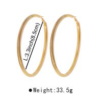 Modern Style Simple Style Solid Color Alloy Women's Bracelets Earrings Necklace main image 3