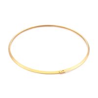 Titanium Steel 18K Gold Plated Simple Style Solid Color Choker main image 6