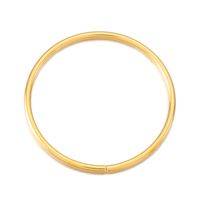1 Piece Stainless Steel 18K Gold Plated Circle sku image 2