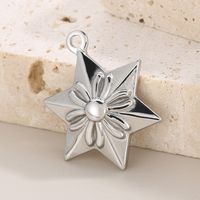 Simple Style Star Stainless Steel Jewelry Accessories main image 1