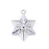 Simple Style Star Stainless Steel Jewelry Accessories main image 6