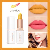 Casual Solid Color Plastic Lipstick sku image 2