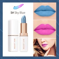 Casual Solid Color Plastic Lipstick sku image 5