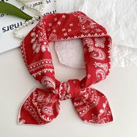 Women's Sweet Simple Style Color Block Cotton And Linen Printing Scarf sku image 5