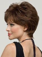 Women's Simple Style Street High Temperature Wire Short Curly Hair Wig Net main image 5