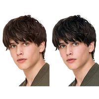 Men's Simple Style Street High Temperature Wire Short Straight Hair Wig Net main image 3