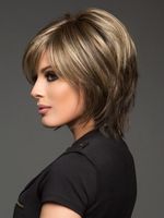 Women's Simple Style Street High Temperature Wire Side Fringe Short Straight Hair Wig Net main image 4