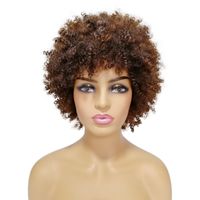 Unisex Exaggerated Black Casual Party High Temperature Wire Bangs Short Curly Hair Wigs sku image 2