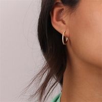 1 Pair Vintage Style Simple Style Classic Style Round Plating Inlay Copper Zircon 14k Gold Plated Hoop Earrings main image 1