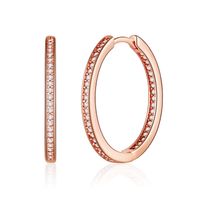 1 Pair Vintage Style Simple Style Classic Style Round Plating Inlay Copper Zircon 14k Gold Plated Hoop Earrings sku image 7
