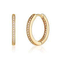 1 Pair Vintage Style Simple Style Classic Style Round Plating Inlay Copper Zircon 14k Gold Plated Hoop Earrings sku image 4