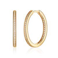 1 Pair Vintage Style Simple Style Classic Style Round Plating Inlay Copper Zircon 14k Gold Plated Hoop Earrings sku image 8
