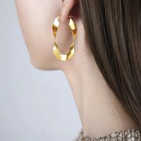 1 Pair Simple Style Solid Color Plating 304 Stainless Steel Earrings main image 6