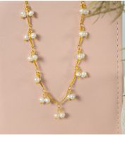 Elegant Simple Style Geometric Titanium Steel Plating Inlay Freshwater Pearl 18k Gold Plated Necklace main image 7