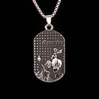 Classic Style Constellation 201 Stainless Steel Zinc Alloy Unisex Necklace sku image 11