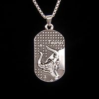 Classic Style Constellation 201 Stainless Steel Zinc Alloy Unisex Necklace sku image 2