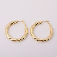 1 Pair Simple Style Round Plating 201 Stainless Steel 304 Stainless Steel Gold Plated Earrings main image 7