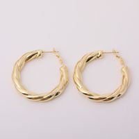 1 Paire Style Simple Rond Placage Acier Inoxydable 201 Acier Inoxydable 304 Plaqué Or Des Boucles D'Oreilles main image 7