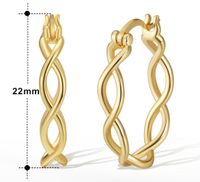 1 Pair Simple Style S Shape Argyle Polishing Plating Sterling Silver Rose Gold Plated White Gold Plated Hoop Earrings main image 2