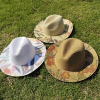 Women's Simple Style Color Block Flat Eaves Straw Hat main image 6