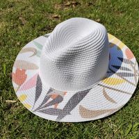 Women's Simple Style Color Block Flat Eaves Straw Hat sku image 2