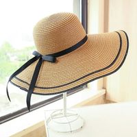 Women's Simple Style Classic Style Color Block Wide Eaves Straw Hat main image 3