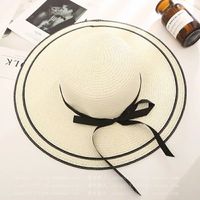 Women's Simple Style Classic Style Color Block Wide Eaves Straw Hat main image 2