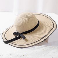 Women's Simple Style Classic Style Color Block Wide Eaves Straw Hat sku image 4